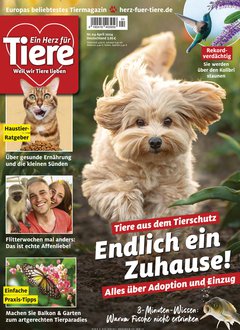 KNALLER: Ein Herz für Tiere - 6 Monate für 1€ Titelbild